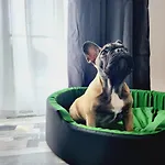 Kuca Za Odmor Capella