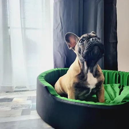 Kuca Za Odmor Capella