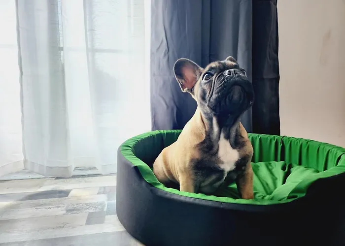 Kuca Za Odmor Capella