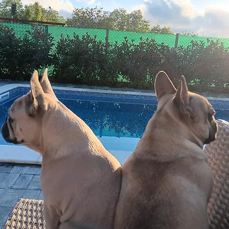 Kuca Za Odmor Capella Stuti